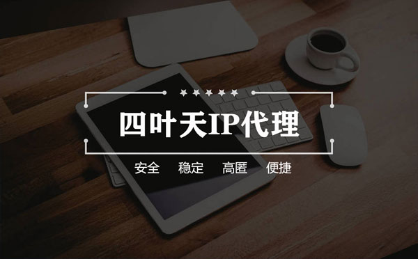 【重庆代理IP】如何快速搭建代理IP？怎么检查代理的效果？